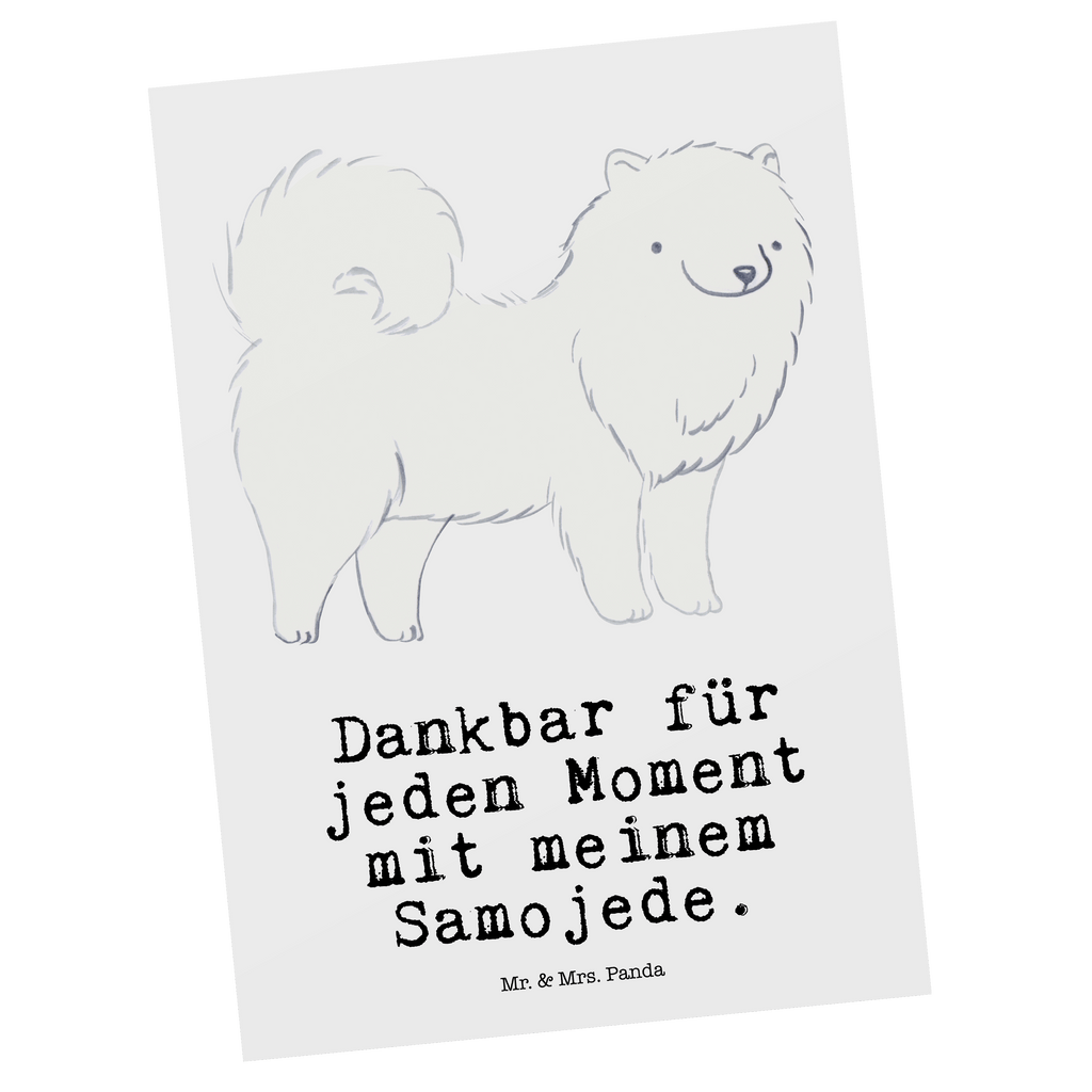 Postkarte Samojede Moment Postkarte, Karte, Geschenkkarte, Grußkarte, Einladung, Ansichtskarte, Geburtstagskarte, Einladungskarte, Dankeskarte, Ansichtskarten, Einladung Geburtstag, Einladungskarten Geburtstag, Hund, Hunderasse, Rassehund, Hundebesitzer, Geschenk, Tierfreund, Schenken, Welpe, Samojede, Samojedenhund, Samojedenspitz