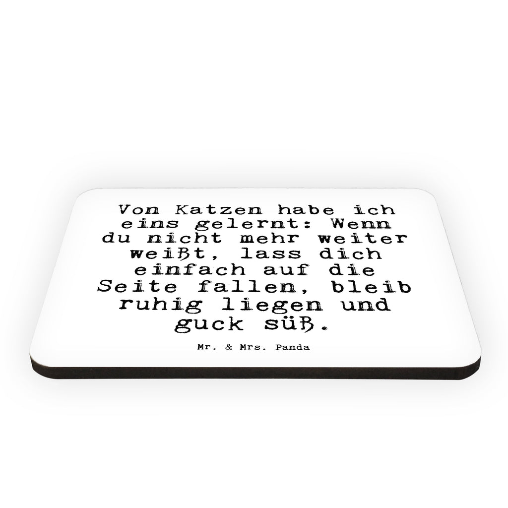 Magnet Sprüche und Zitate Von Katzen habe ich eins gelernt: Wenn du nicht mehr weiter weißt, lass dich einfach auf die Seite fallen, bleib ruhig liegen und guck süß. Kühlschrankmagnet, Pinnwandmagnet, Souvenir Magnet, Motivmagnete, Dekomagnet, Whiteboard Magnet, Notiz Magnet, Kühlschrank Dekoration, Spruch, Sprüche, lustige Sprüche, Weisheiten, Zitate, Spruch Geschenke, Spruch Sprüche Weisheiten Zitate Lustig Weisheit Worte