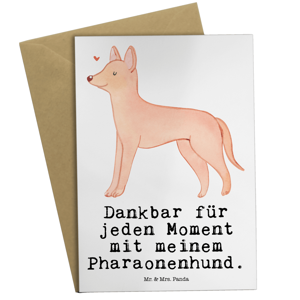 Grußkarte Pharaonenhund Moment Grußkarte, Klappkarte, Einladungskarte, Glückwunschkarte, Hochzeitskarte, Geburtstagskarte, Karte, Ansichtskarten, Hund, Hunderasse, Rassehund, Hundebesitzer, Geschenk, Tierfreund, Schenken, Welpe, Pharaonenhund, Pharaoh Hound, Kelb tal-Fenek