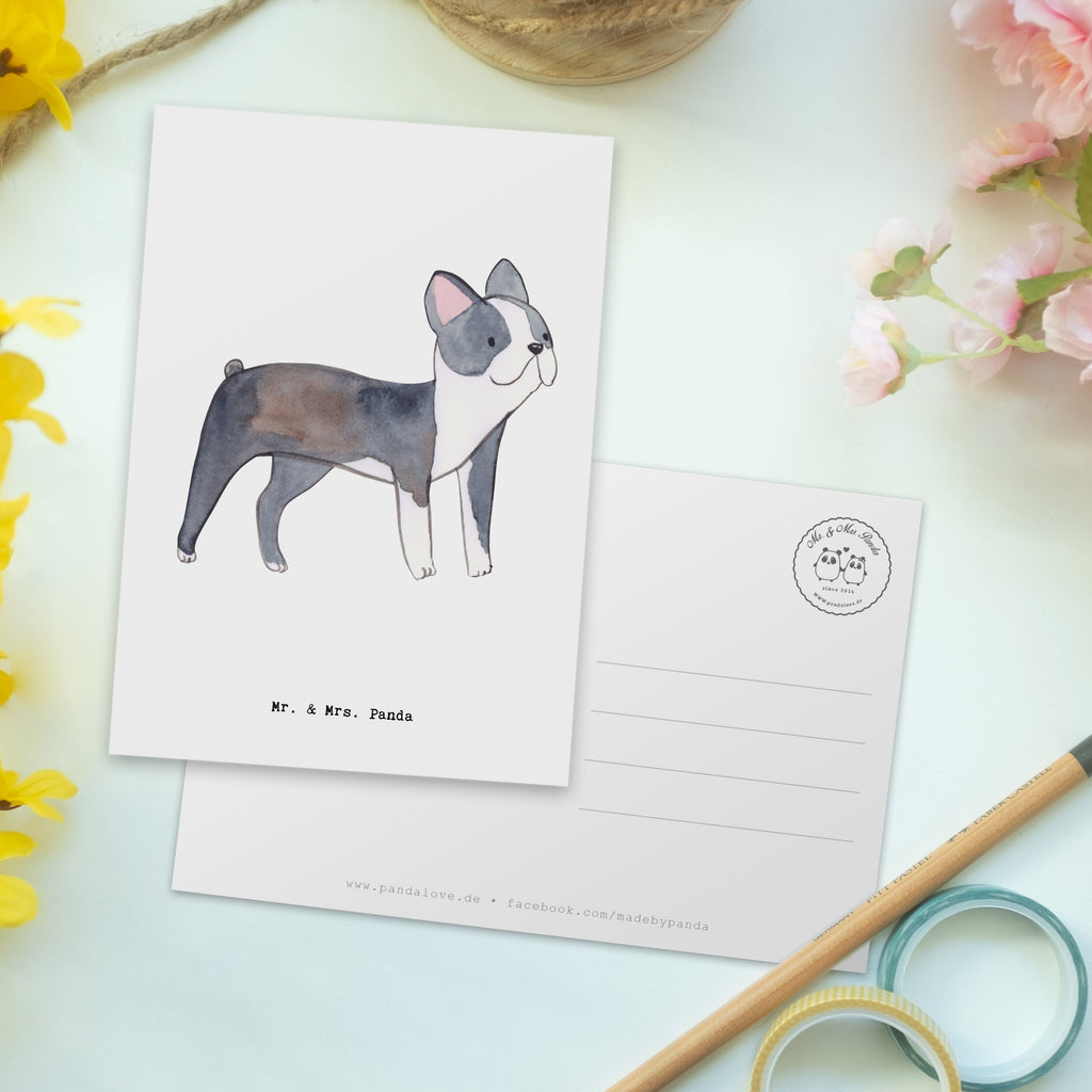 Postkarte Boston Terrier Lebensretter Postkarte, Karte, Geschenkkarte, Grußkarte, Einladung, Ansichtskarte, Geburtstagskarte, Einladungskarte, Dankeskarte, Hund, Hunderasse, Rassehund, Hundebesitzer, Geschenk, Tierfreund, Schenken, Welpe, Boston Terrier