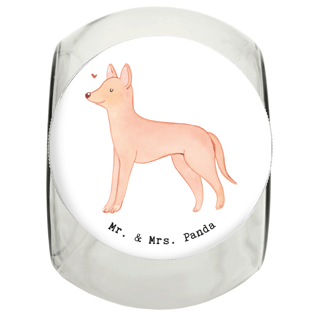 Leckerli Glas Pharaonenhund Lebensretter Leckerli Glas, Leckerli Glas Hund, Leckerli Glas Katze, Leckerli Dose, Hundeleckerlies Behälter, Hund, Hunderasse, Rassehund, Hundebesitzer, Geschenk, Tierfreund, Schenken, Welpe, Pharaonenhund, Pharaoh Hound, Kelb tal-Fenek