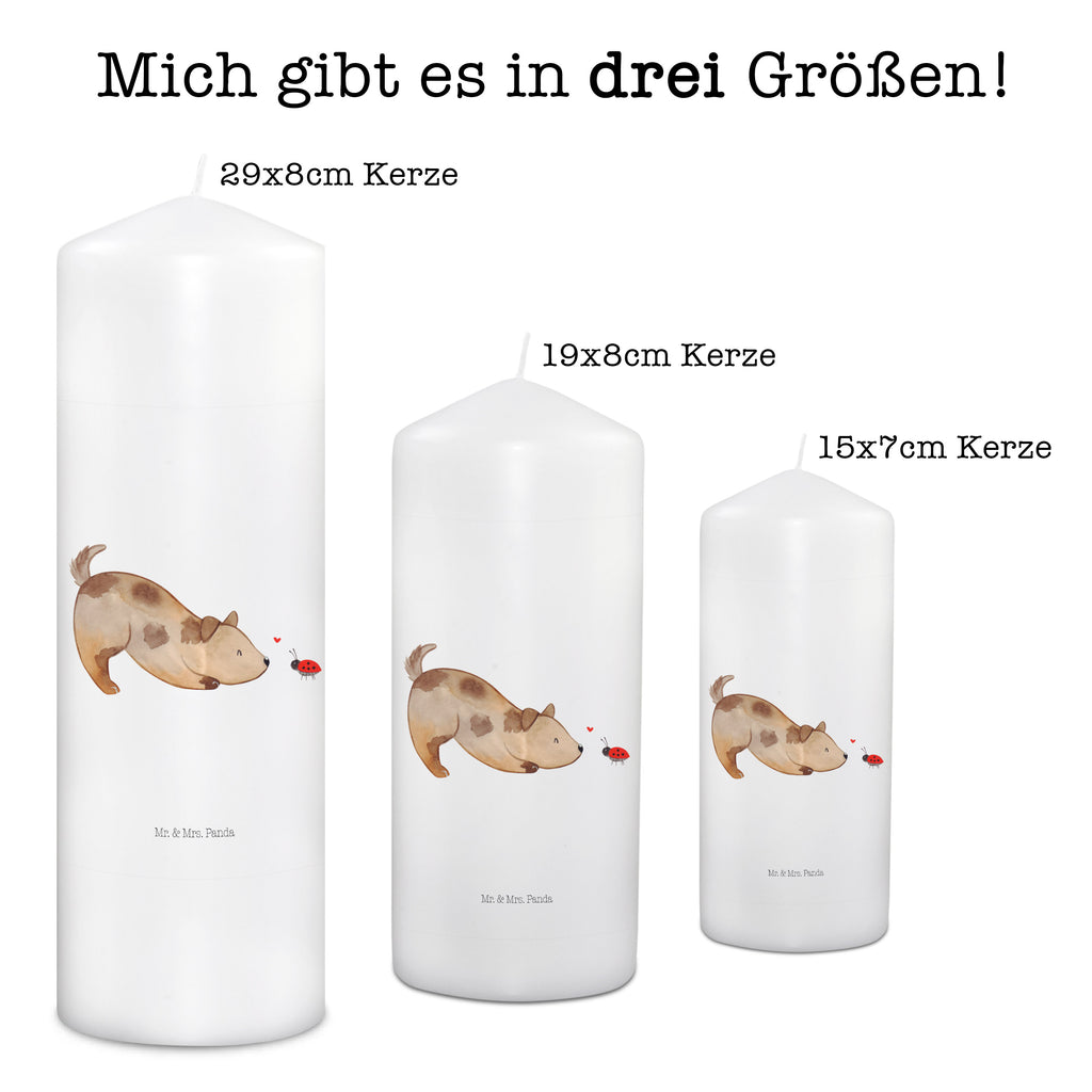 Kerze Hund Marienkäfer Kerze, Taufkerze, Kommunionskerze, Geburtstagskerze, Geschenk Kerze, Taufgeschenk Kerze, Kerze mit Druck, Besondere Kerze, Geschenkidee Kerze, Kerze für Kommunion, Geburtstag Kerze, Kommunion Kerze, Hund, Hundemotiv, Haustier, Hunderasse, Tierliebhaber, Hundebesitzer, Sprüche, Hunde, Hundespruch, Marienkäfer, Mischling, Mischlinghund