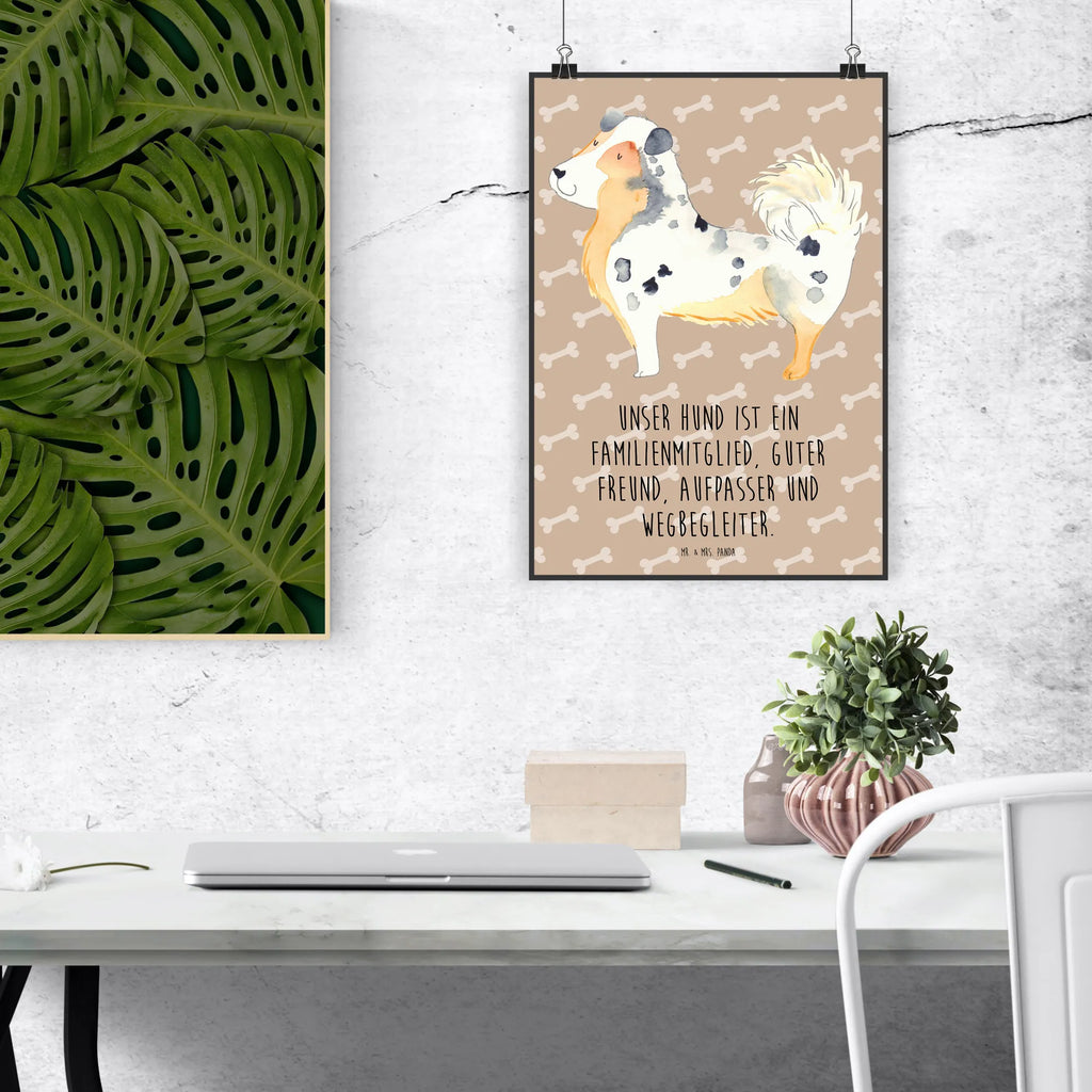 Poster Hund Australien Shepherd Poster, Wandposter, Bild, Wanddeko, Küchenposter, Kinderposter, Wanddeko Bild, Raumdekoration, Wanddekoration, Handgemaltes Poster, Mr. & Mrs. Panda Poster, Designposter, Kunstdruck, Posterdruck, Hund, Hundemotiv, Haustier, Hunderasse, Tierliebhaber, Hundebesitzer, Sprüche, Australien Shepherd, Shepherd, Hundeliebe, Familienhund, Spruch