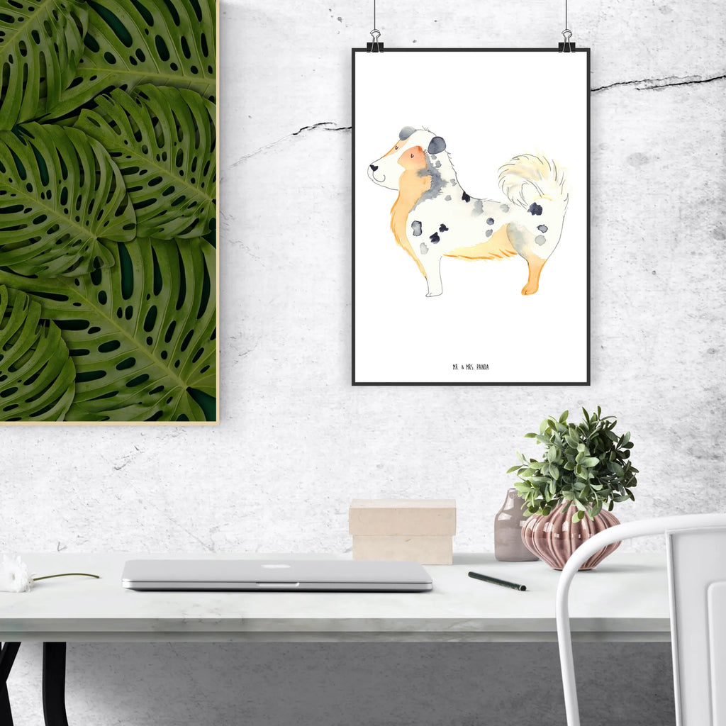 Poster Hund Australien Shepherd Poster, Wandposter, Bild, Wanddeko, Küchenposter, Kinderposter, Wanddeko Bild, Raumdekoration, Wanddekoration, Handgemaltes Poster, Mr. & Mrs. Panda Poster, Designposter, Kunstdruck, Posterdruck, Hund, Hundemotiv, Haustier, Hunderasse, Tierliebhaber, Hundebesitzer, Sprüche, Australien Shepherd, Shepherd, Hundeliebe, Familienhund, Spruch