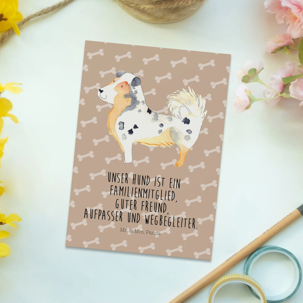 Postkarte Hund Australien Shepherd Postkarte, Karte, Geschenkkarte, Grußkarte, Einladung, Ansichtskarte, Geburtstagskarte, Einladungskarte, Dankeskarte, Ansichtskarten, Einladung Geburtstag, Einladungskarten Geburtstag, Hund, Hundemotiv, Haustier, Hunderasse, Tierliebhaber, Hundebesitzer, Sprüche, Australien Shepherd, Shepherd, Hundeliebe, Familienhund, Spruch