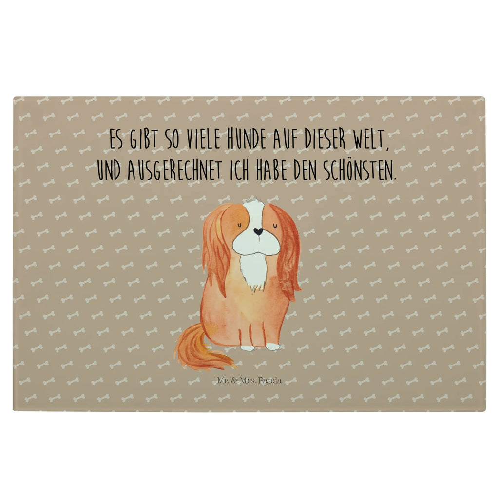 Glasschneidebrett Hund Cavalier King Charles Spaniel Glasschneidebrett, Schneidebrett, Hund, Hundemotiv, Haustier, Hunderasse, Tierliebhaber, Hundebesitzer, Sprüche, Cavalier King Charles Spaniel, Cockerspaniel, Spaniel, Spruch, schönster Hund