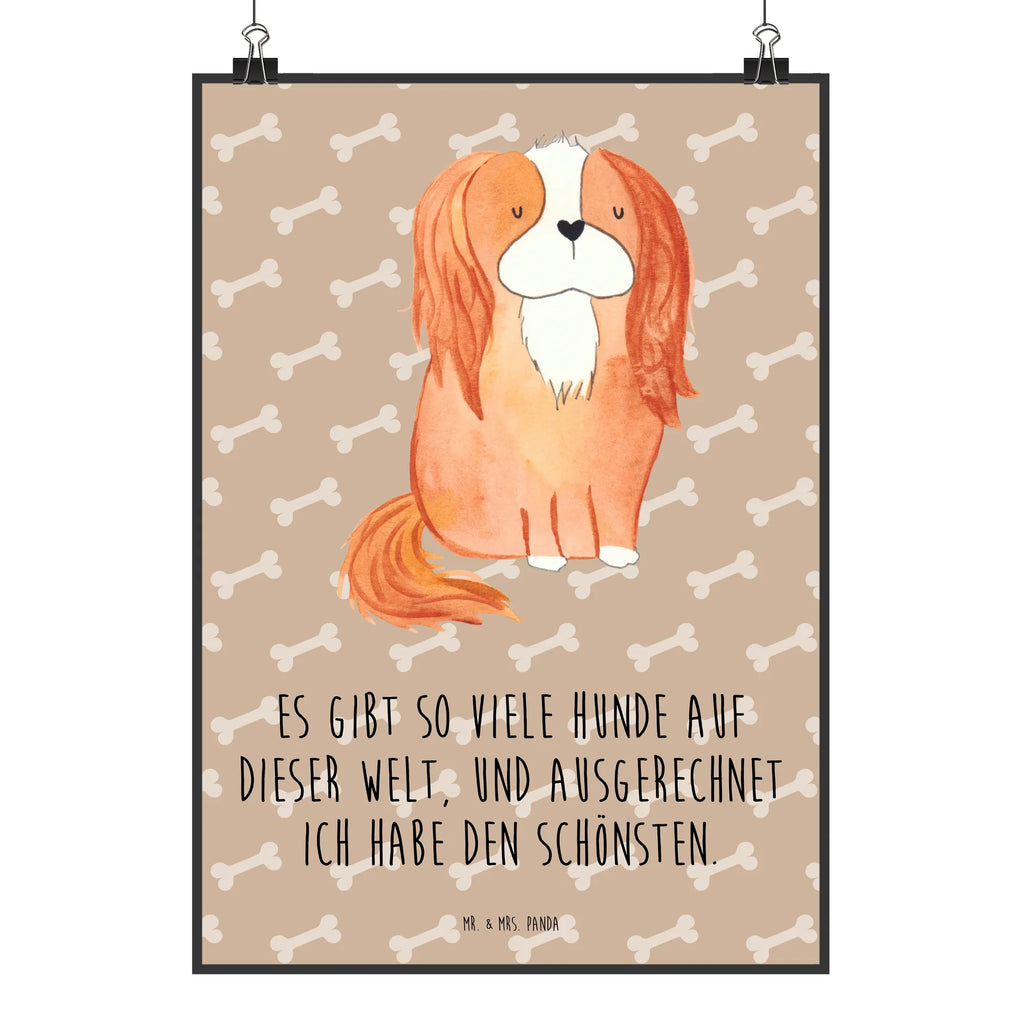 Poster Hund Cavalier King Charles Spaniel Poster, Wandposter, Bild, Wanddeko, Küchenposter, Kinderposter, Wanddeko Bild, Raumdekoration, Wanddekoration, Handgemaltes Poster, Mr. & Mrs. Panda Poster, Designposter, Kunstdruck, Posterdruck, Hund, Hundemotiv, Haustier, Hunderasse, Tierliebhaber, Hundebesitzer, Sprüche, Cavalier King Charles Spaniel, Cockerspaniel, Spaniel, Spruch, schönster Hund