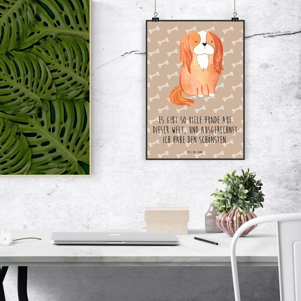 Poster Hund Cavalier King Charles Spaniel Poster, Wandposter, Bild, Wanddeko, Küchenposter, Kinderposter, Wanddeko Bild, Raumdekoration, Wanddekoration, Handgemaltes Poster, Mr. & Mrs. Panda Poster, Designposter, Kunstdruck, Posterdruck, Hund, Hundemotiv, Haustier, Hunderasse, Tierliebhaber, Hundebesitzer, Sprüche, Cavalier King Charles Spaniel, Cockerspaniel, Spaniel, Spruch, schönster Hund