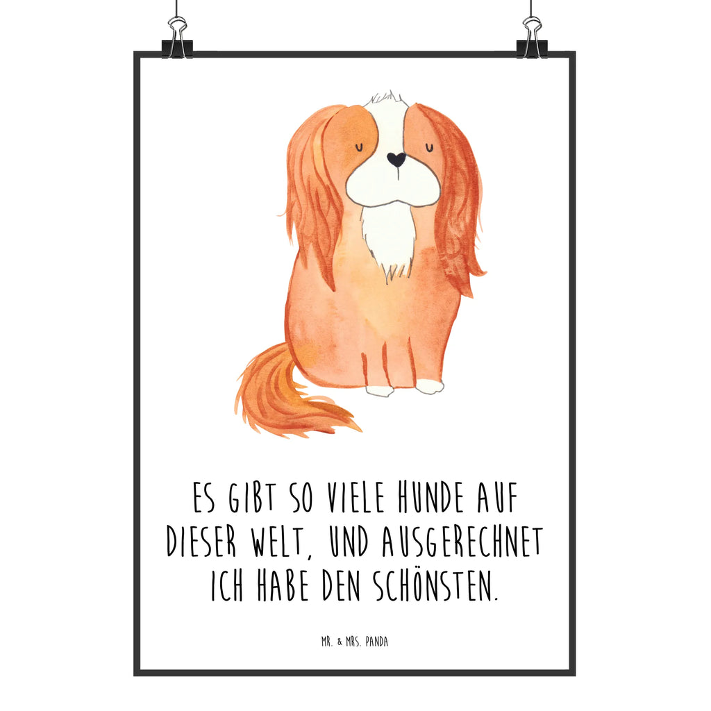 Poster Hund Cavalier King Charles Spaniel Poster, Wandposter, Bild, Wanddeko, Küchenposter, Kinderposter, Wanddeko Bild, Raumdekoration, Wanddekoration, Handgemaltes Poster, Mr. & Mrs. Panda Poster, Designposter, Kunstdruck, Posterdruck, Hund, Hundemotiv, Haustier, Hunderasse, Tierliebhaber, Hundebesitzer, Sprüche, Cavalier King Charles Spaniel, Cockerspaniel, Spaniel, Spruch, schönster Hund