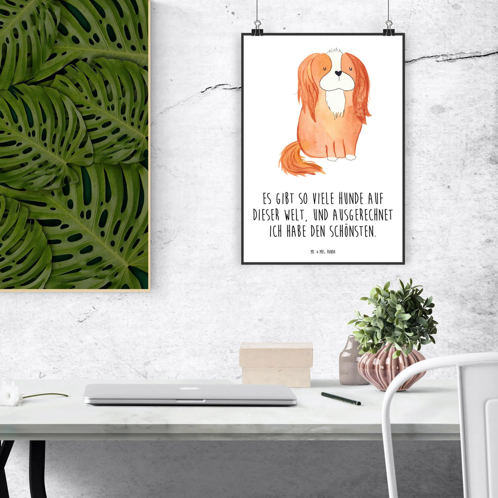 Poster Hund Cavalier King Charles Spaniel Poster, Wandposter, Bild, Wanddeko, Küchenposter, Kinderposter, Wanddeko Bild, Raumdekoration, Wanddekoration, Handgemaltes Poster, Mr. & Mrs. Panda Poster, Designposter, Kunstdruck, Posterdruck, Hund, Hundemotiv, Haustier, Hunderasse, Tierliebhaber, Hundebesitzer, Sprüche, Cavalier King Charles Spaniel, Cockerspaniel, Spaniel, Spruch, schönster Hund