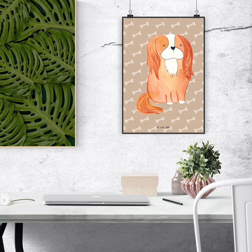 Poster Hund Cavalier King Charles Spaniel Poster, Wandposter, Bild, Wanddeko, Küchenposter, Kinderposter, Wanddeko Bild, Raumdekoration, Wanddekoration, Handgemaltes Poster, Mr. & Mrs. Panda Poster, Designposter, Kunstdruck, Posterdruck, Hund, Hundemotiv, Haustier, Hunderasse, Tierliebhaber, Hundebesitzer, Sprüche, Cavalier King Charles Spaniel, Cockerspaniel, Spaniel, Spruch, schönster Hund