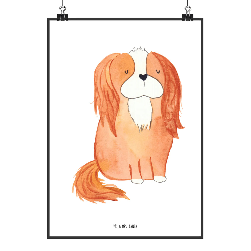 Poster Hund Cavalier King Charles Spaniel Poster, Wandposter, Bild, Wanddeko, Küchenposter, Kinderposter, Wanddeko Bild, Raumdekoration, Wanddekoration, Handgemaltes Poster, Mr. & Mrs. Panda Poster, Designposter, Kunstdruck, Posterdruck, Hund, Hundemotiv, Haustier, Hunderasse, Tierliebhaber, Hundebesitzer, Sprüche, Cavalier King Charles Spaniel, Cockerspaniel, Spaniel, Spruch, schönster Hund