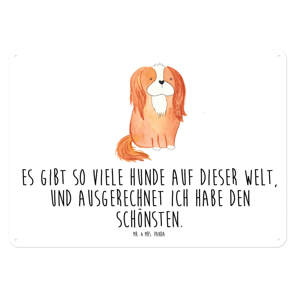 Tin sign Dog Cavalier King Charles Spaniel Blechschild, Metallschild, Geschenk Schild, Schild, Magnet-Metall-Schild, Deko Schild, Wandschild, Wand-Dekoration, Türschild, Hund, Hundemotiv, Haustier, Hunderasse, Tierliebhaber, Hundebesitzer, Sprüche, Cavalier King Charles Spaniel, Cockerspaniel, Spaniel, Spruch, schönster Hund