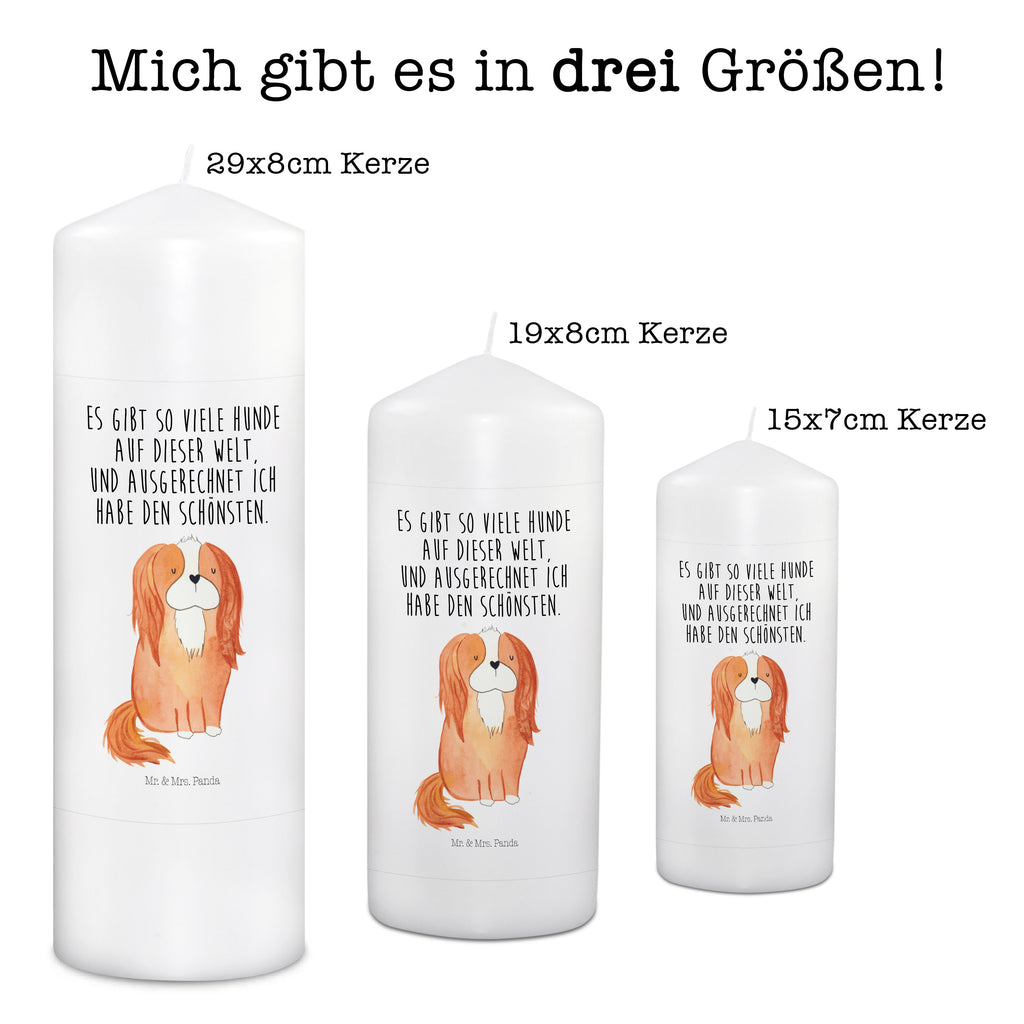 Kerze Hund Cavalier King Charles Spaniel Kerze, Taufkerze, Kommunionskerze, Geburtstagskerze, Geschenk Kerze, Taufgeschenk Kerze, Kerze mit Druck, Besondere Kerze, Geschenkidee Kerze, Kerze für Kommunion, Geburtstag Kerze, Kommunion Kerze, Hund, Hundemotiv, Haustier, Hunderasse, Tierliebhaber, Hundebesitzer, Sprüche, Cavalier King Charles Spaniel, Cockerspaniel, Spaniel, Spruch, schönster Hund