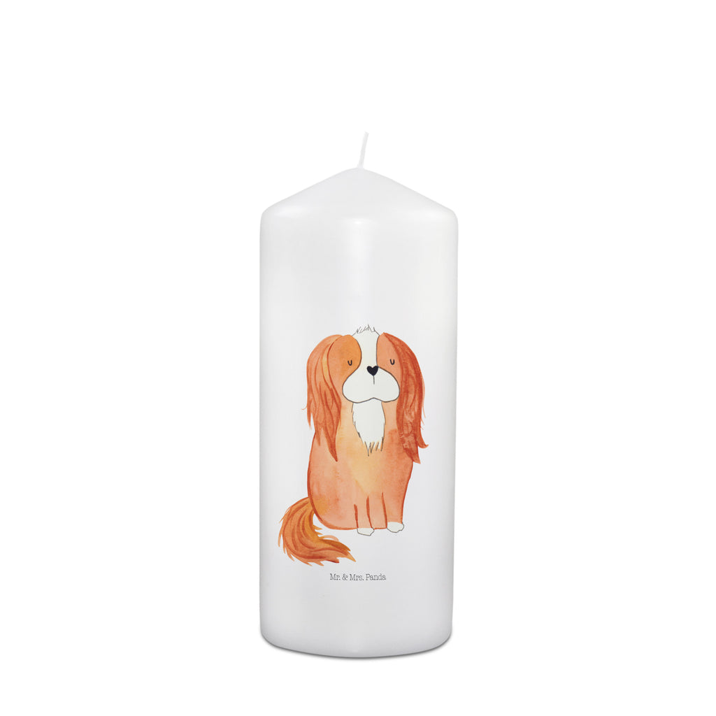 Kerze Hund Cavalier King Charles Spaniel Kerze, Taufkerze, Kommunionskerze, Geburtstagskerze, Geschenk Kerze, Taufgeschenk Kerze, Kerze mit Druck, Besondere Kerze, Geschenkidee Kerze, Kerze für Kommunion, Geburtstag Kerze, Kommunion Kerze, Hund, Hundemotiv, Haustier, Hunderasse, Tierliebhaber, Hundebesitzer, Sprüche, Cavalier King Charles Spaniel, Cockerspaniel, Spaniel, Spruch, schönster Hund