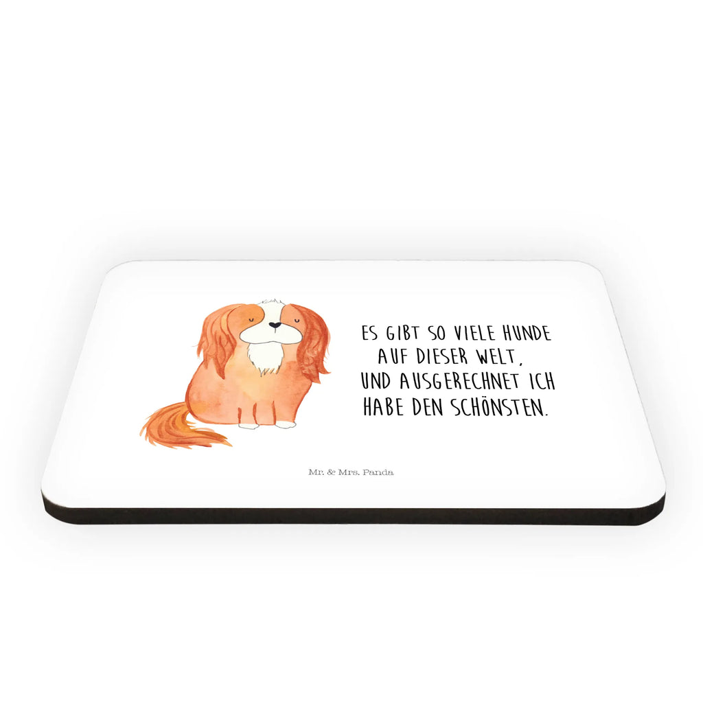 Magnet Hund Cavalier King Charles Spaniel Kühlschrankmagnet, Pinnwandmagnet, Souvenir Magnet, Motivmagnete, Dekomagnet, Whiteboard Magnet, Notiz Magnet, Kühlschrank Dekoration, Hund, Hundemotiv, Haustier, Hunderasse, Tierliebhaber, Hundebesitzer, Sprüche, Cavalier King Charles Spaniel, Cockerspaniel, Spaniel, Spruch, schönster Hund