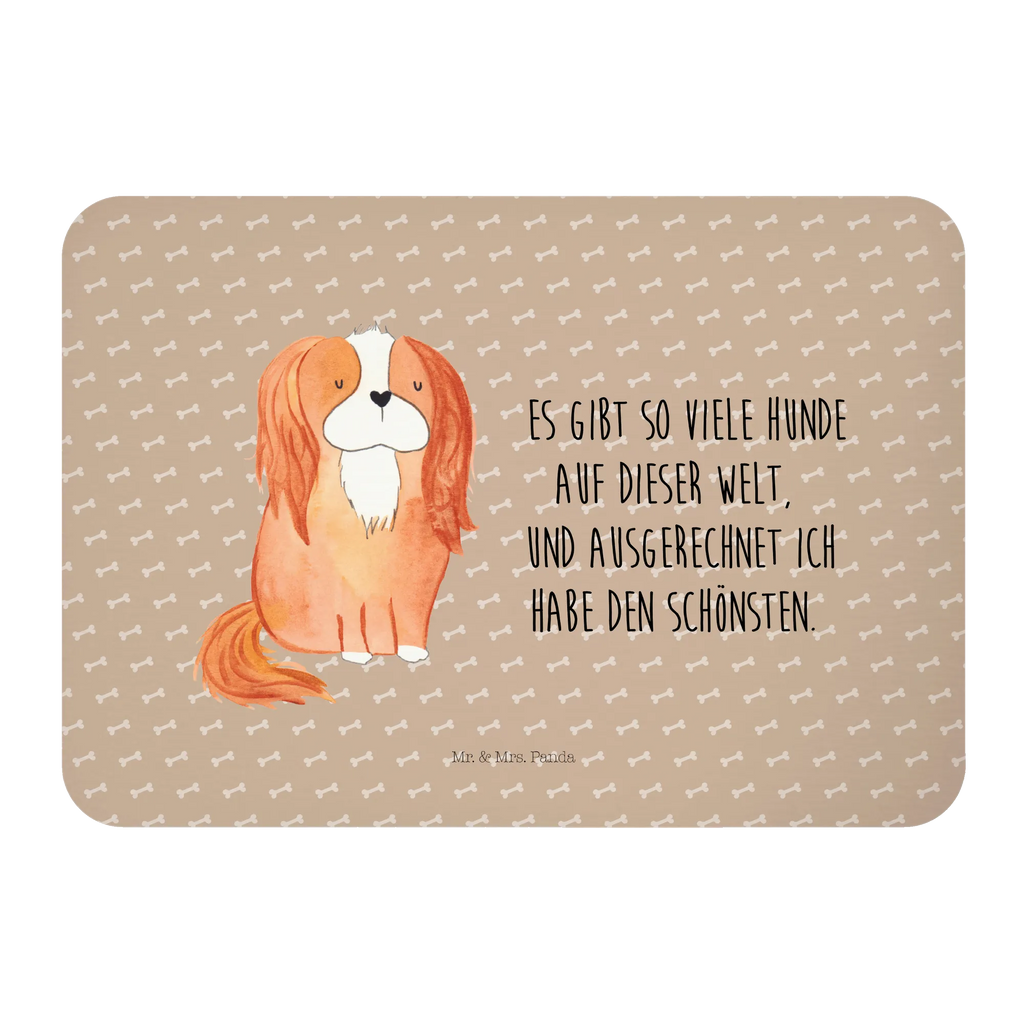 Magnet Hund Cavalier King Charles Spaniel Kühlschrankmagnet, Pinnwandmagnet, Souvenir Magnet, Motivmagnete, Dekomagnet, Whiteboard Magnet, Notiz Magnet, Kühlschrank Dekoration, Hund, Hundemotiv, Haustier, Hunderasse, Tierliebhaber, Hundebesitzer, Sprüche, Cavalier King Charles Spaniel, Cockerspaniel, Spaniel, Spruch, schönster Hund