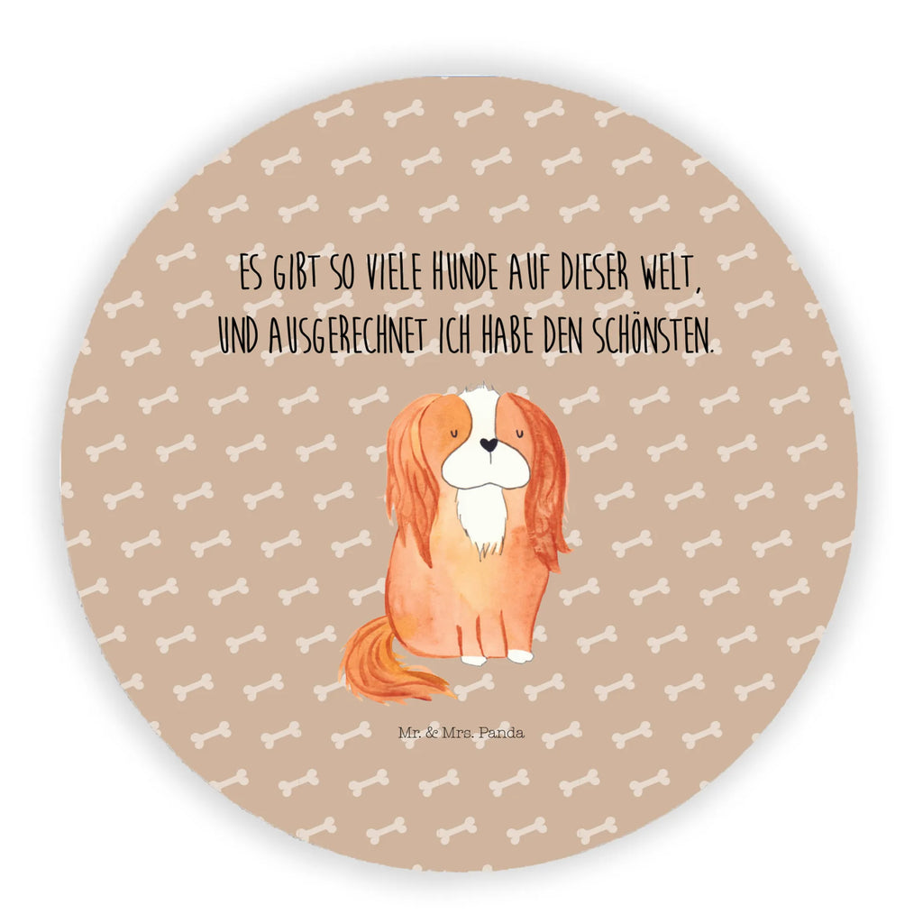 Rund Magnet Hund Cavalier King Charles Spaniel Kühlschrankmagnet, Pinnwandmagnet, Souvenir Magnet, Motivmagnete, Dekomagnet, Whiteboard Magnet, Notiz Magnet, Kühlschrank Dekoration, Hund, Hundemotiv, Haustier, Hunderasse, Tierliebhaber, Hundebesitzer, Sprüche, Cavalier King Charles Spaniel, Cockerspaniel, Spaniel, Spruch, schönster Hund