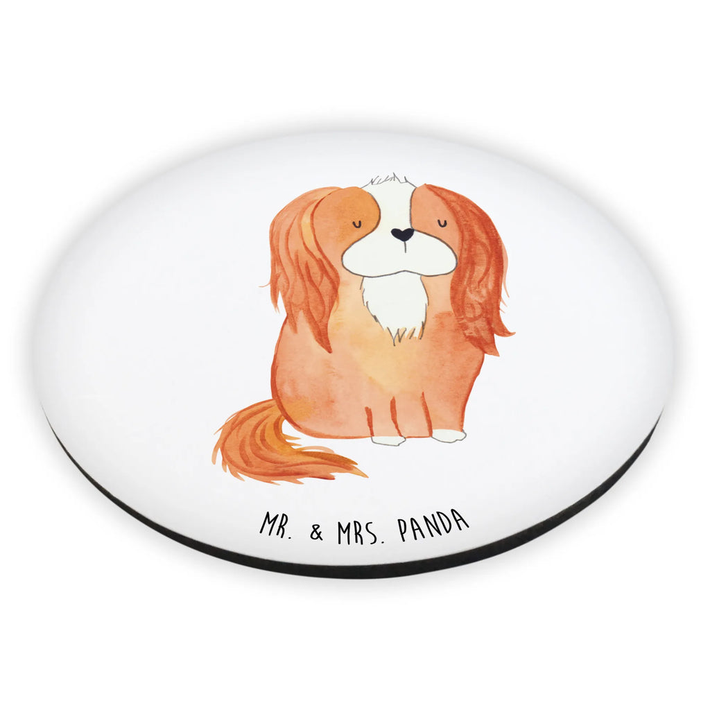 Rund Magnet Hund Cavalier King Charles Spaniel Kühlschrankmagnet, Pinnwandmagnet, Souvenir Magnet, Motivmagnete, Dekomagnet, Whiteboard Magnet, Notiz Magnet, Kühlschrank Dekoration, Hund, Hundemotiv, Haustier, Hunderasse, Tierliebhaber, Hundebesitzer, Sprüche, Cavalier King Charles Spaniel, Cockerspaniel, Spaniel, Spruch, schönster Hund