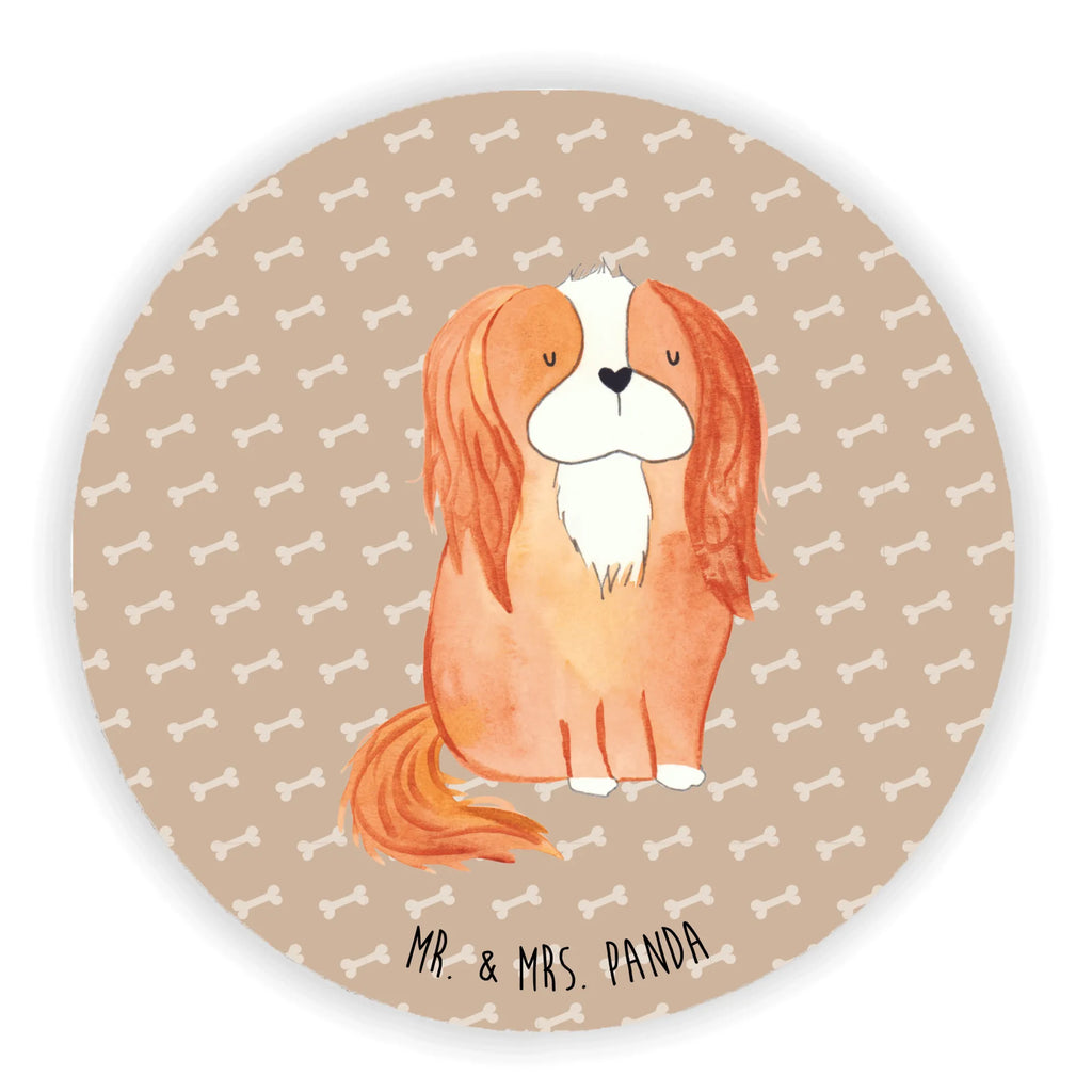 Rund Magnet Hund Cavalier King Charles Spaniel Kühlschrankmagnet, Pinnwandmagnet, Souvenir Magnet, Motivmagnete, Dekomagnet, Whiteboard Magnet, Notiz Magnet, Kühlschrank Dekoration, Hund, Hundemotiv, Haustier, Hunderasse, Tierliebhaber, Hundebesitzer, Sprüche, Cavalier King Charles Spaniel, Cockerspaniel, Spaniel, Spruch, schönster Hund