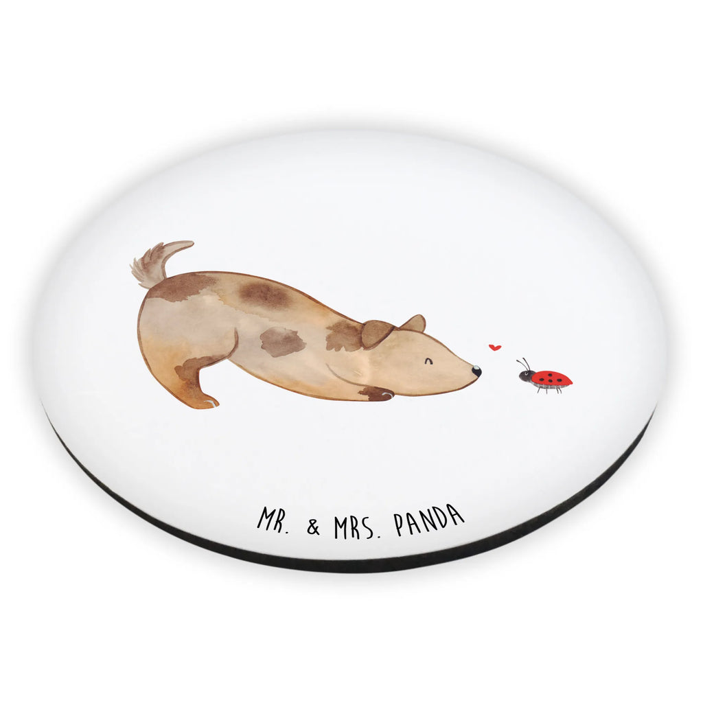 Rund Magnet Hund Marienkäfer Kühlschrankmagnet, Pinnwandmagnet, Souvenir Magnet, Motivmagnete, Dekomagnet, Whiteboard Magnet, Notiz Magnet, Kühlschrank Dekoration, Hund, Hundemotiv, Haustier, Hunderasse, Tierliebhaber, Hundebesitzer, Sprüche, Hunde, Hundespruch, Marienkäfer, Mischling, Mischlinghund