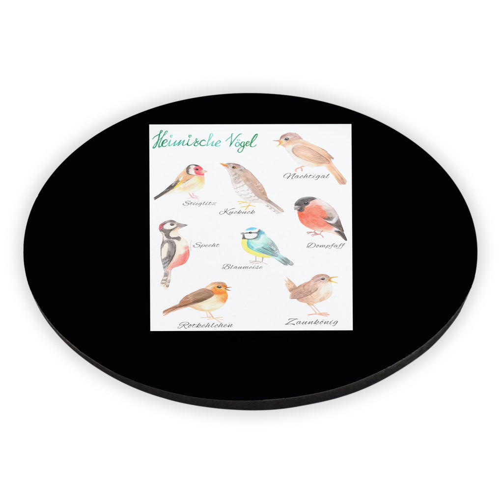 Rund Magnet Heimische Vögel Kühlschrankmagnet, Pinnwandmagnet, Souvenir Magnet, Motivmagnete, Dekomagnet, Whiteboard Magnet, Notiz Magnet, Kühlschrank Dekoration, Blumen Deko, Frühlings Deko, Sommer Deko, Dekoration, positive Botschaft, Naturliebhaber, Outdoor, Natur, Abenteuer, Vögel, Heimische Vögel