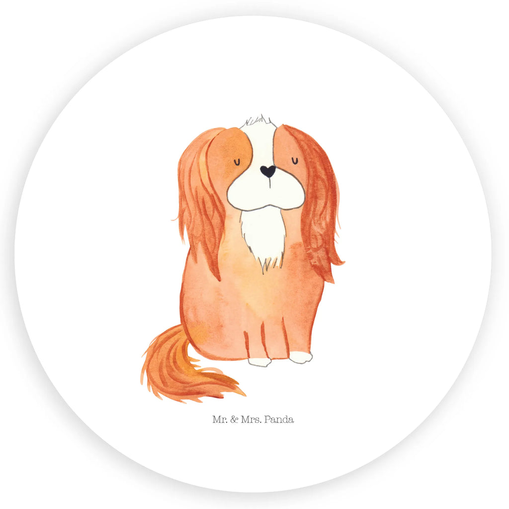 Rund Aufkleber Cavalier King Charles Spaniel Sticker, Aufkleber, Etikett, Hund, Hundemotiv, Haustier, Hunderasse, Tierliebhaber, Hundebesitzer, Sprüche, Cavalier King Charles Spaniel, Cockerspaniel, Spaniel, Spruch, schönster Hund