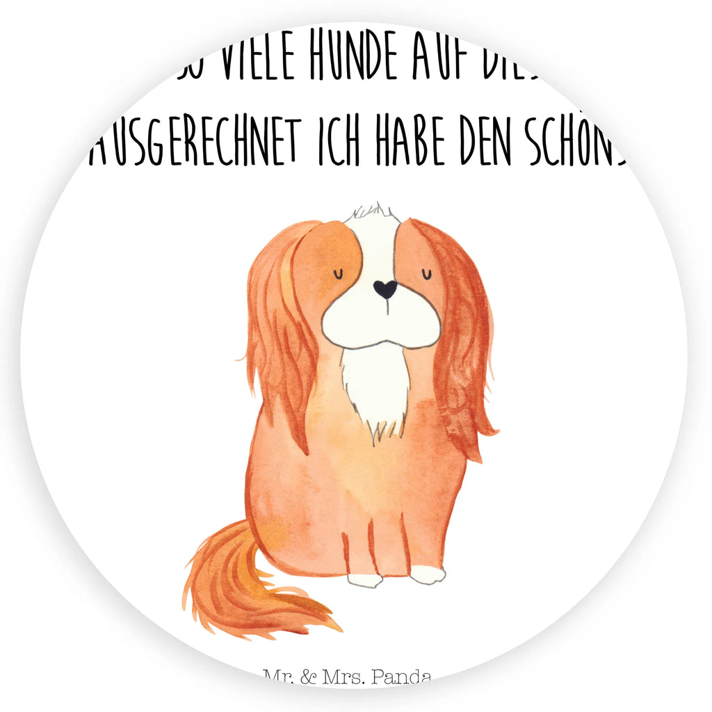 Rund Aufkleber Cavalier King Charles Spaniel Sticker, Aufkleber, Etikett, Hund, Hundemotiv, Haustier, Hunderasse, Tierliebhaber, Hundebesitzer, Sprüche, Cavalier King Charles Spaniel, Cockerspaniel, Spaniel, Spruch, schönster Hund