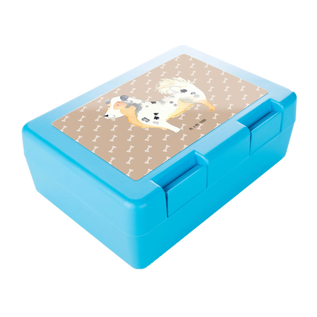 Brotdose Australien Shepherd Brotbox, Snackbox, Lunch box, Butterbrotdose, Brotzeitbox, Hund, Hundemotiv, Haustier, Hunderasse, Tierliebhaber, Hundebesitzer, Sprüche, Australien Shepherd, Shepherd, Hundeliebe, Familienhund, Spruch