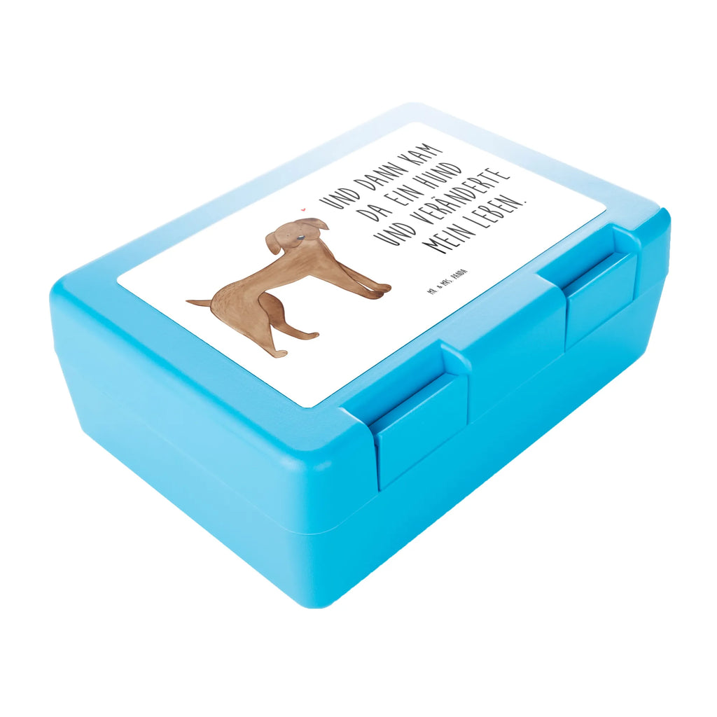 Brotdose Hund Dogge Brotbox, Snackbox, Lunch box, Butterbrotdose, Brotzeitbox, Hund, Hundemotiv, Haustier, Hunderasse, Tierliebhaber, Hundebesitzer, Sprüche, Hunde, Dogge, Deutsche Dogge, Great Dane