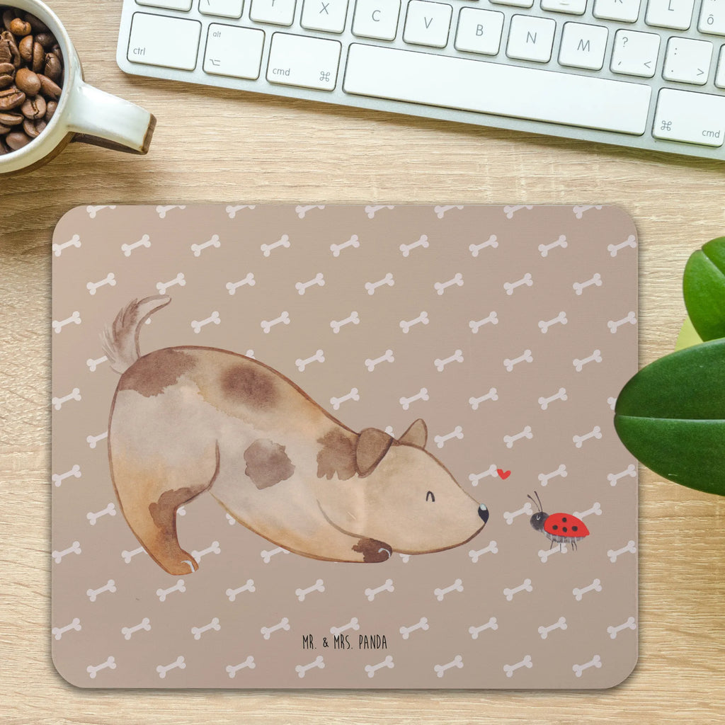 Mauspad Hund Marienkäfer Mousepad, Computer zubehör, Büroausstattung, PC Zubehör, Arbeitszimmer, Mauspad, Einzigartiges Mauspad, Designer Mauspad, Mausunterlage, Mauspad Büro, Hund, Hundemotiv, Haustier, Hunderasse, Tierliebhaber, Hundebesitzer, Sprüche, Hunde, Hundespruch, Marienkäfer, Mischling, Mischlinghund