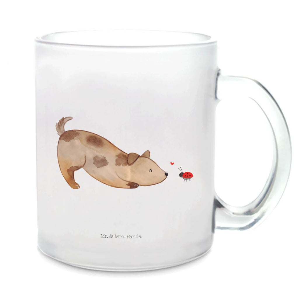 Teetasse Hund Marienkäfer Teetasse, Teeglas, Teebecher, Tasse mit Henkel, Tasse, Glas Teetasse, Teetasse aus Glas, Hund, Hundemotiv, Haustier, Hunderasse, Tierliebhaber, Hundebesitzer, Sprüche, Hunde, Hundespruch, Marienkäfer, Mischling, Mischlinghund