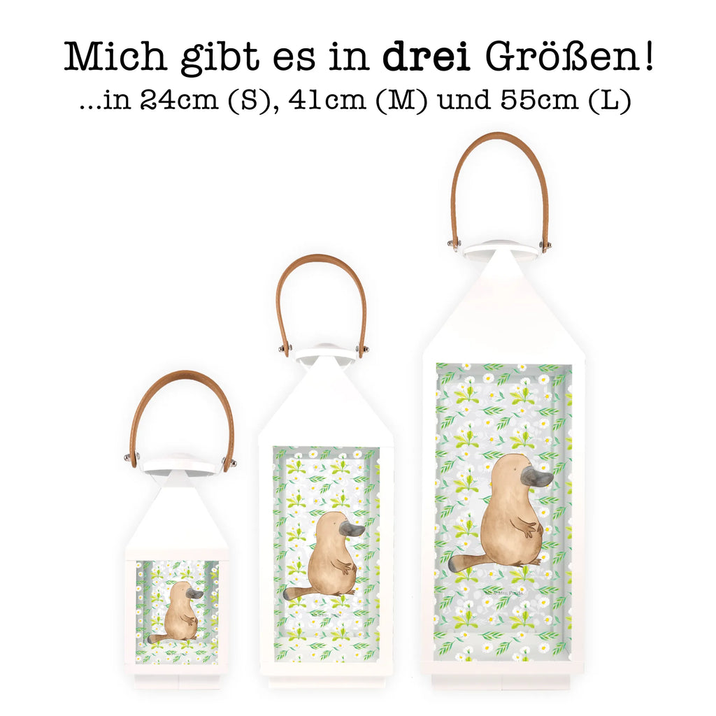 Deko Laterne Schnabeltier mutig Gartenlampe, Gartenleuchte, Gartendekoration, Gartenlicht, Laterne kleine Laternen, XXL Laternen, Laterne groß, Meerestiere, Meer, Urlaub, Schnabeltier, Mut, mutig, Lebensweisheit, Schnabeltiere, Motivation, Training, Büro, Arbeit, Neuanfang, Neustart, Weltreise, Raodtrip