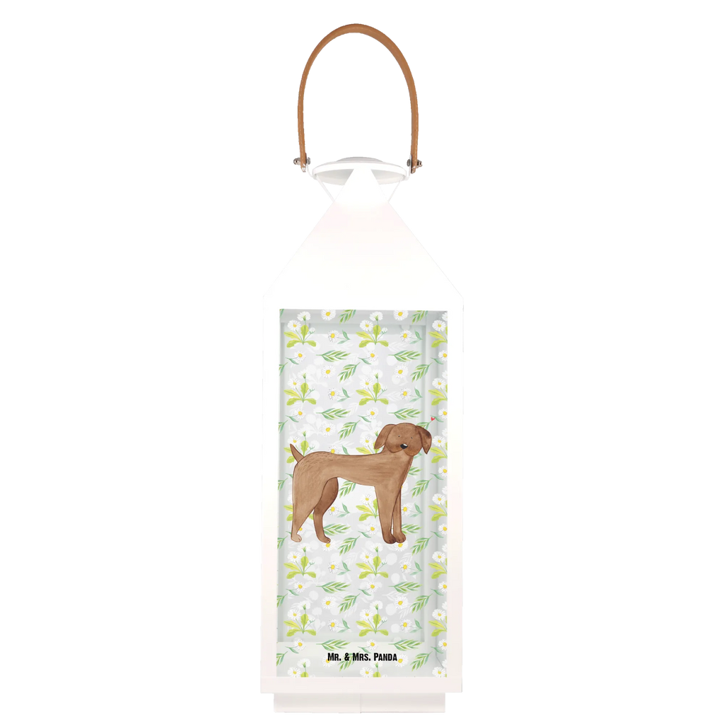 Deko Laterne Hund Dogge Gartenlampe, Gartenleuchte, Gartendekoration, Gartenlicht, Laterne kleine Laternen, XXL Laternen, Laterne groß, Hund, Hundemotiv, Haustier, Hunderasse, Tierliebhaber, Hundebesitzer, Sprüche, Hunde, Dogge, Deutsche Dogge, Great Dane