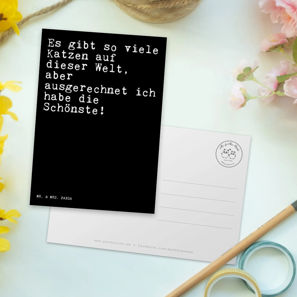 Postkarte Sprüche und Zitate Es gibt so viele Katzen auf dieser Welt, aber ausgerechnet ich habe die Schönste! Postkarte, Karte, Geschenkkarte, Grußkarte, Einladung, Ansichtskarte, Geburtstagskarte, Einladungskarte, Dankeskarte, Ansichtskarten, Einladung Geburtstag, Einladungskarten Geburtstag, Spruch, Sprüche, lustige Sprüche, Weisheiten, Zitate, Spruch Geschenke, Spruch Sprüche Weisheiten Zitate Lustig Weisheit Worte