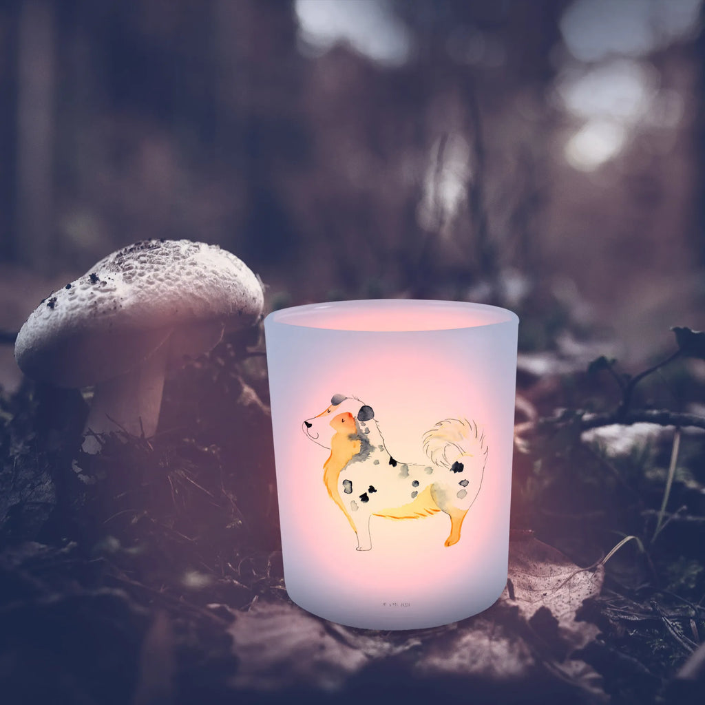 Windlicht Hund Australien Shepherd Windlicht Glas, Teelichtglas, Teelichthalter, Teelichter, Kerzenglas, Windlicht Kerze, Kerzenlicht, Glas Windlicht, Windlicht Zur Hochzeit, Windlicht Deko, Windlicht Hochzeit, Teelichtgläser, Windlicht Dekorieren, Hund, Hundemotiv, Haustier, Hunderasse, Tierliebhaber, Hundebesitzer, Sprüche, Australien Shepherd, Shepherd, Hundeliebe, Familienhund, Spruch