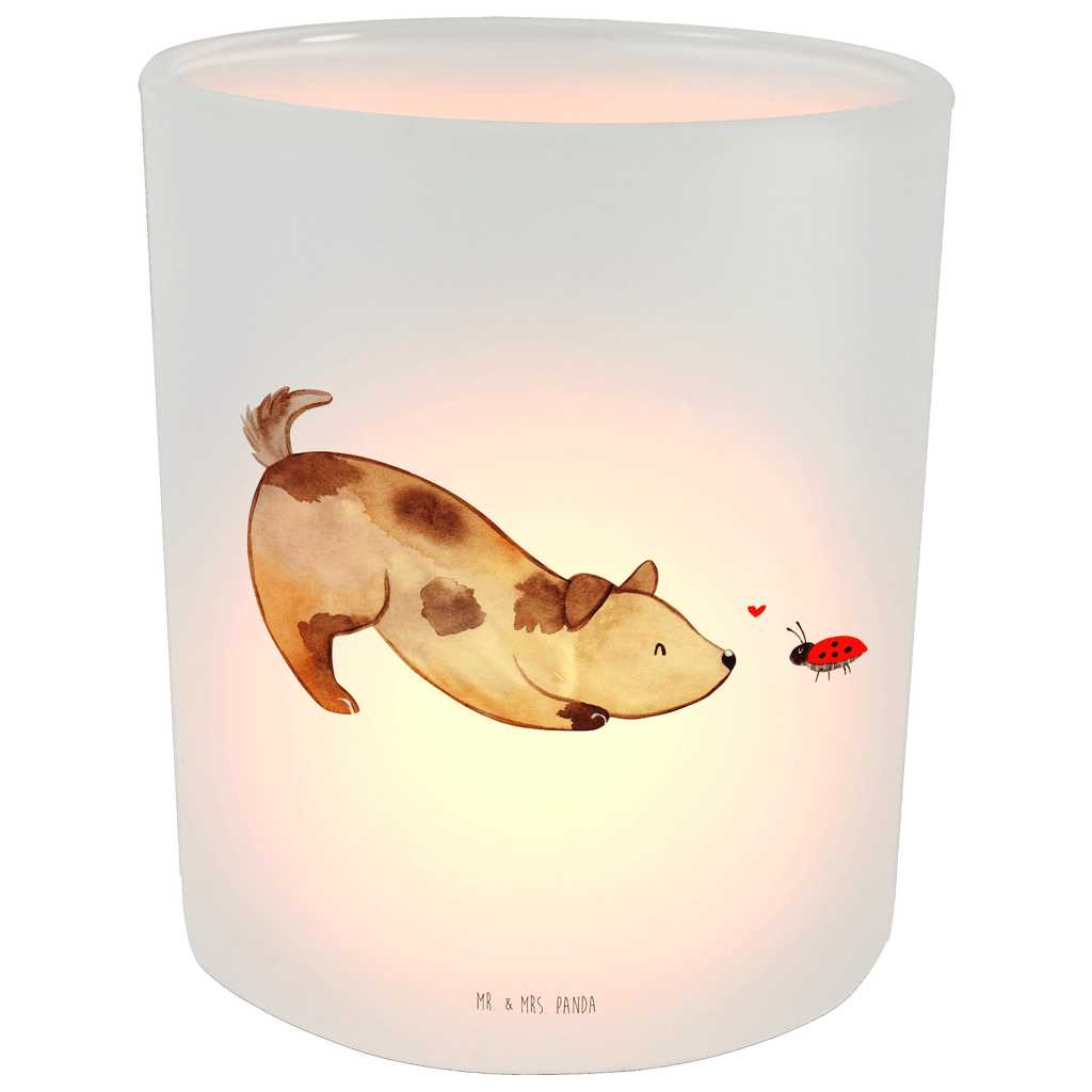 Windlicht Hund Marienkäfer Windlicht Glas, Teelichtglas, Teelichthalter, Teelichter, Kerzenglas, Windlicht Kerze, Kerzenlicht, Glas Windlicht, Windlicht Zur Hochzeit, Windlicht Deko, Windlicht Hochzeit, Teelichtgläser, Windlicht Dekorieren, Hund, Hundemotiv, Haustier, Hunderasse, Tierliebhaber, Hundebesitzer, Sprüche, Hunde, Hundespruch, Marienkäfer, Mischling, Mischlinghund