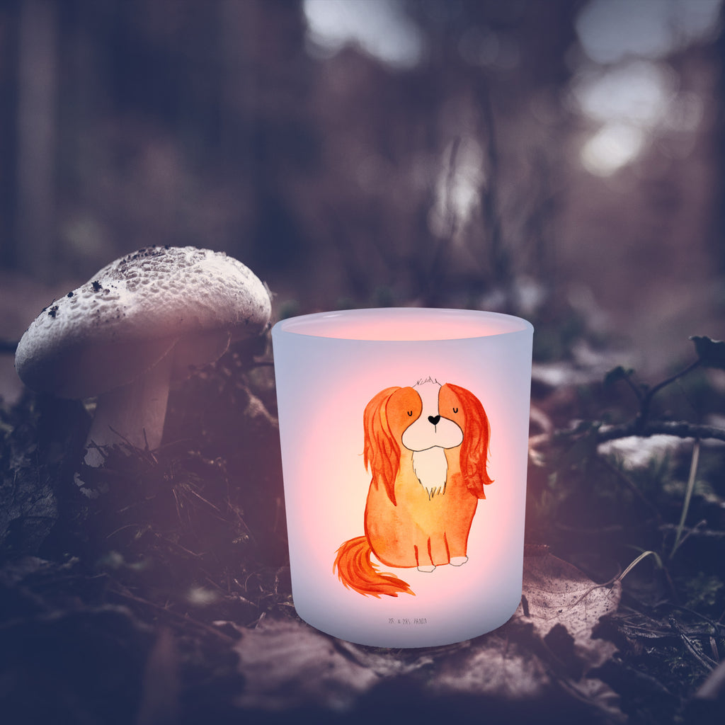 Windlicht Hund Cavalier King Charles Spaniel Windlicht Glas, Teelichtglas, Teelichthalter, Teelichter, Kerzenglas, Windlicht Kerze, Kerzenlicht, Glas Windlicht, Windlicht Zur Hochzeit, Windlicht Deko, Windlicht Hochzeit, Teelichtgläser, Windlicht Dekorieren, Hund, Hundemotiv, Haustier, Hunderasse, Tierliebhaber, Hundebesitzer, Sprüche, Cavalier King Charles Spaniel, Cockerspaniel, Spaniel, Spruch, schönster Hund