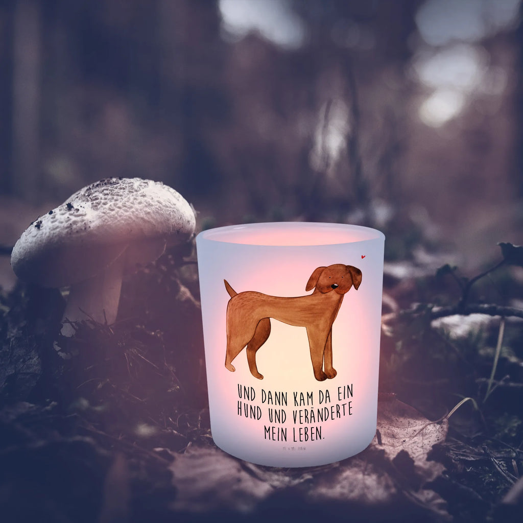 Windlicht Hund Dogge Windlicht Glas, Teelichtglas, Teelichthalter, Teelichter, Kerzenglas, Windlicht Kerze, Kerzenlicht, Glas Windlicht, Windlicht Zur Hochzeit, Windlicht Deko, Windlicht Hochzeit, Teelichtgläser, Windlicht Dekorieren, Hund, Hundemotiv, Haustier, Hunderasse, Tierliebhaber, Hundebesitzer, Sprüche, Hunde, Dogge, Deutsche Dogge, Great Dane