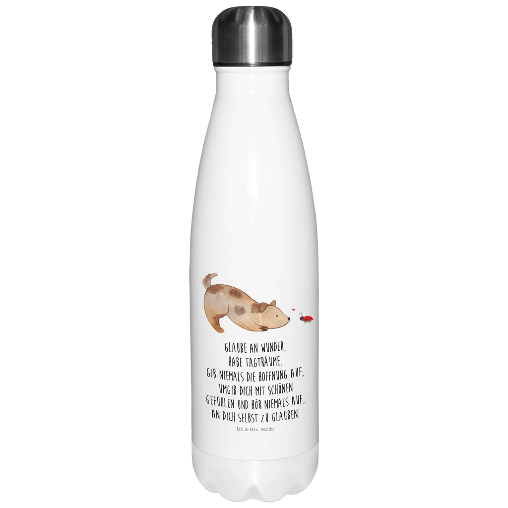 Thermosflasche Hund Marienkäfer Isolierflasche, Thermoflasche, Trinkflasche, Thermos, Edelstahl, Hund, Hundemotiv, Haustier, Hunderasse, Tierliebhaber, Hundebesitzer, Sprüche, Hunde, Hundespruch, Marienkäfer, Mischling, Mischlinghund