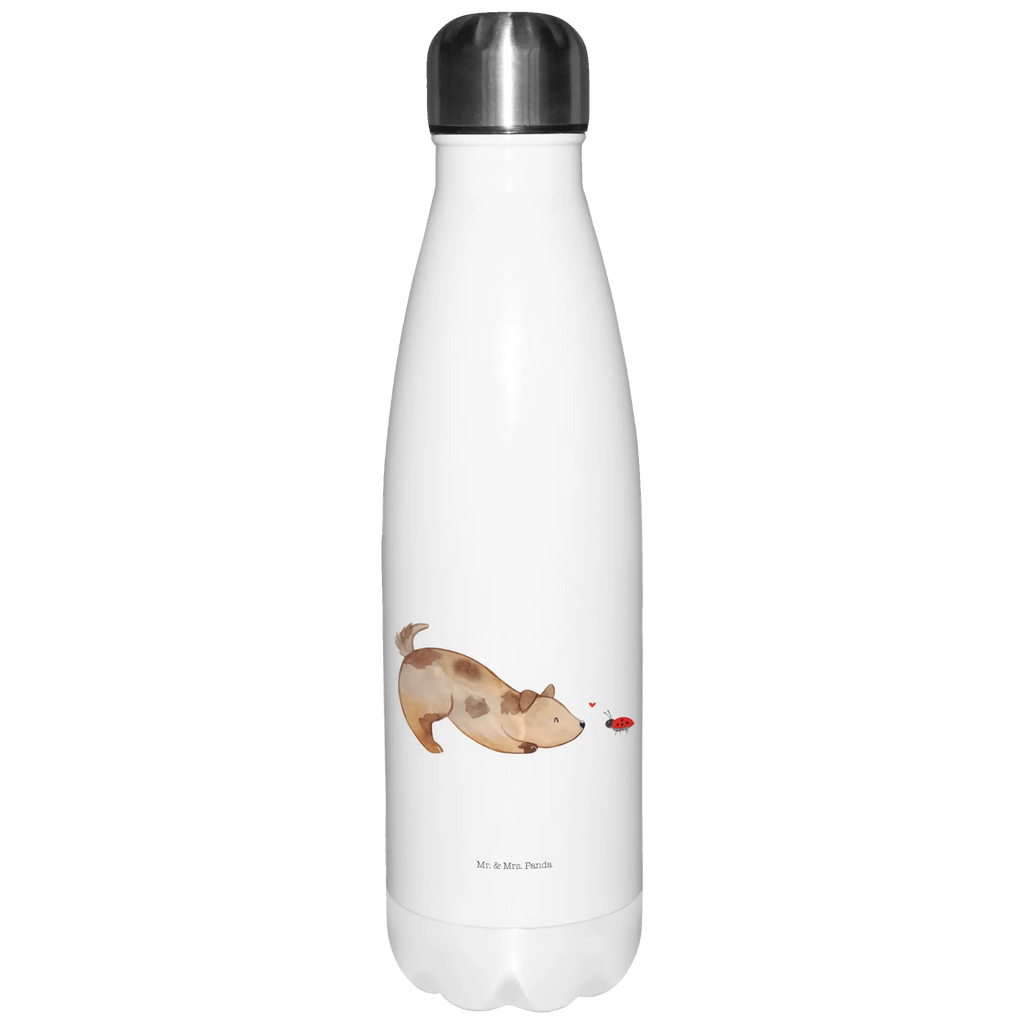 Thermosflasche Hund Marienkäfer Isolierflasche, Thermoflasche, Trinkflasche, Thermos, Edelstahl, Hund, Hundemotiv, Haustier, Hunderasse, Tierliebhaber, Hundebesitzer, Sprüche, Hunde, Hundespruch, Marienkäfer, Mischling, Mischlinghund