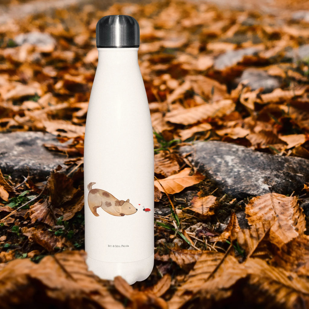 Thermosflasche Hund Marienkäfer Isolierflasche, Thermoflasche, Trinkflasche, Thermos, Edelstahl, Hund, Hundemotiv, Haustier, Hunderasse, Tierliebhaber, Hundebesitzer, Sprüche, Hunde, Hundespruch, Marienkäfer, Mischling, Mischlinghund