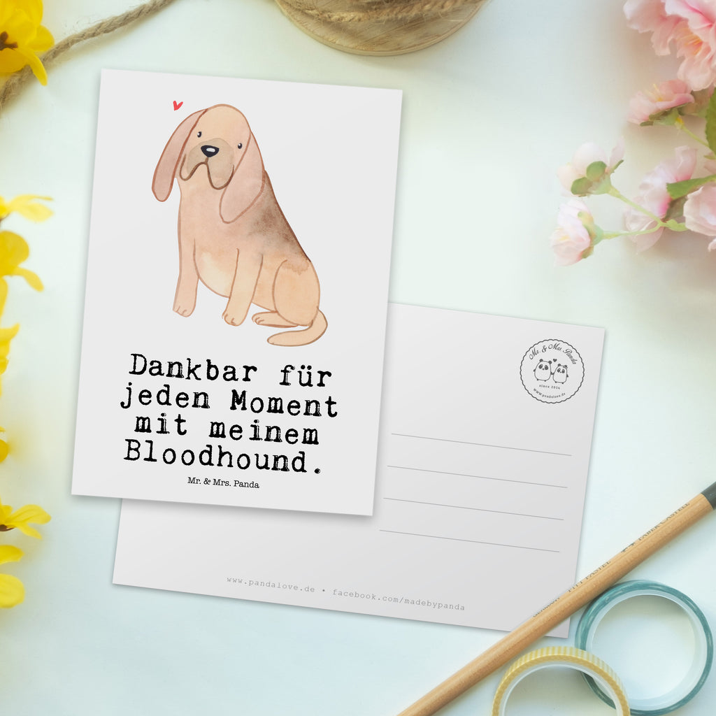 Postkarte Bloodhound Moment Postkarte, Karte, Geschenkkarte, Grußkarte, Einladung, Ansichtskarte, Geburtstagskarte, Einladungskarte, Dankeskarte, Ansichtskarten, Einladung Geburtstag, Einladungskarten Geburtstag, Hund, Hunderasse, Rassehund, Hundebesitzer, Geschenk, Tierfreund, Schenken, Welpe, Bluthund, Bloodhound, St. Hubertushund, Chien de Saint Hubert