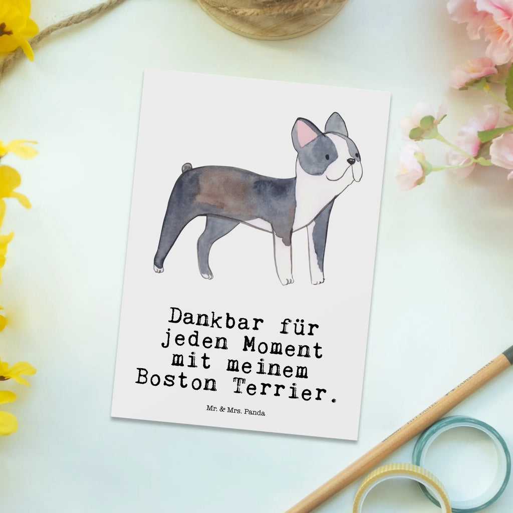 Postkarte Boston Terrier Moment Postkarte, Karte, Geschenkkarte, Grußkarte, Einladung, Ansichtskarte, Geburtstagskarte, Einladungskarte, Dankeskarte, Ansichtskarten, Einladung Geburtstag, Einladungskarten Geburtstag, Hund, Hunderasse, Rassehund, Hundebesitzer, Geschenk, Tierfreund, Schenken, Welpe, Boston Terrier