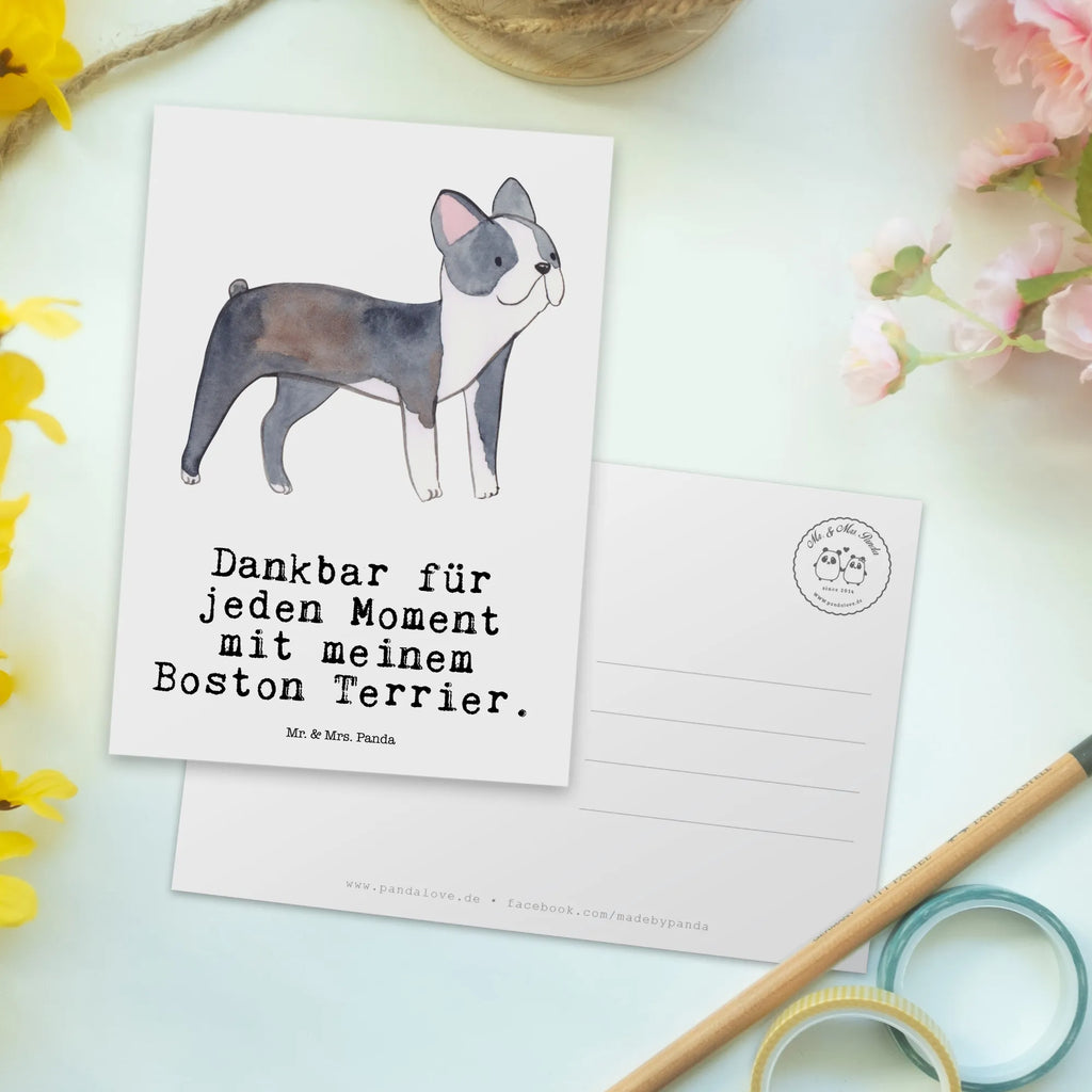 Postkarte Boston Terrier Moment Postkarte, Karte, Geschenkkarte, Grußkarte, Einladung, Ansichtskarte, Geburtstagskarte, Einladungskarte, Dankeskarte, Ansichtskarten, Einladung Geburtstag, Einladungskarten Geburtstag, Hund, Hunderasse, Rassehund, Hundebesitzer, Geschenk, Tierfreund, Schenken, Welpe, Boston Terrier