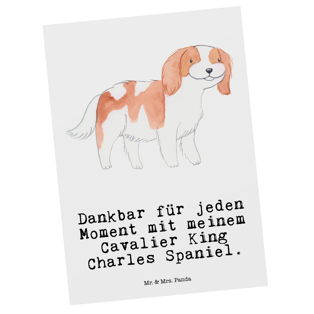 Postkarte Cavalier King Charles Spaniel Moment Postkarte, Karte, Geschenkkarte, Grußkarte, Einladung, Ansichtskarte, Geburtstagskarte, Einladungskarte, Dankeskarte, Ansichtskarten, Einladung Geburtstag, Einladungskarten Geburtstag, Hund, Hunderasse, Rassehund, Hundebesitzer, Geschenk, Tierfreund, Schenken, Welpe, Cavalier King Charles Spaniel