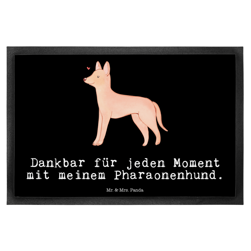 Fußmatte Pharaonenhund Moment Türvorleger, Schmutzmatte, Fußabtreter, Matte, Schmutzfänger, Fußabstreifer, Schmutzfangmatte, Türmatte, Motivfußmatte, Haustürmatte, Vorleger, Fussmatten, Fußmatten, Gummimatte, Fußmatte außen, Fußmatte innen, Fussmatten online, Gummi Matte, Sauberlaufmatte, Fußmatte waschbar, Fußmatte outdoor, Schmutzfangmatte waschbar, Eingangsteppich, Fußabstreifer außen, Fußabtreter außen, Schmutzfangteppich, Fußmatte außen wetterfest, Hund, Hunderasse, Rassehund, Hundebesitzer, Geschenk, Tierfreund, Schenken, Welpe, Pharaonenhund, Pharaoh Hound, Kelb tal-Fenek