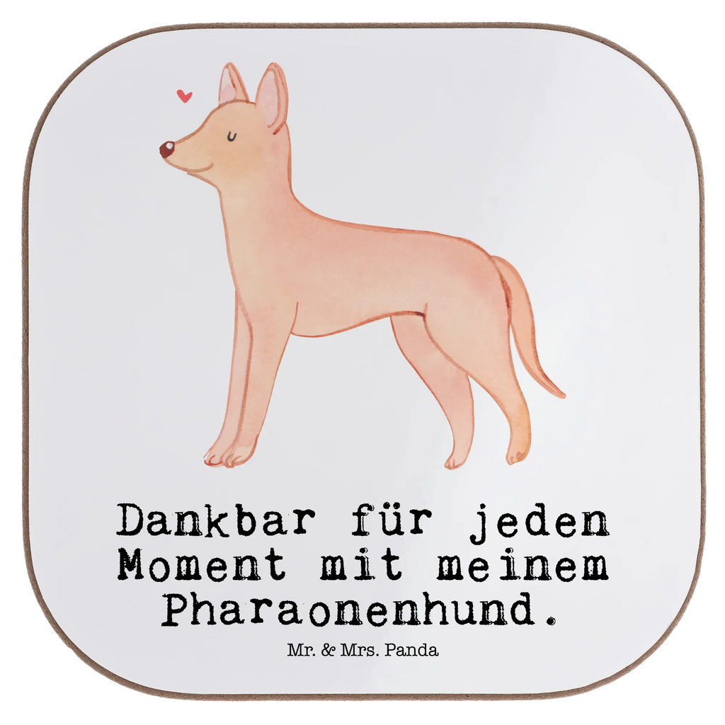 Quadratische Untersetzer Pharaonenhund Moment Untersetzer, Bierdeckel, Glasuntersetzer, Untersetzer Gläser, Getränkeuntersetzer, Untersetzer aus Holz, Untersetzer für Gläser, Korkuntersetzer, Untersetzer Holz, Holzuntersetzer, Tassen Untersetzer, Untersetzer Design, Hund, Hunderasse, Rassehund, Hundebesitzer, Geschenk, Tierfreund, Schenken, Welpe, Pharaonenhund, Pharaoh Hound, Kelb tal-Fenek