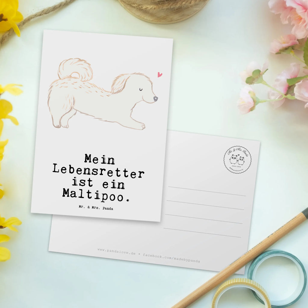 Postkarte Maltipoo Lebensretter Postkarte, Karte, Geschenkkarte, Grußkarte, Einladung, Ansichtskarte, Geburtstagskarte, Einladungskarte, Dankeskarte, Ansichtskarten, Einladung Geburtstag, Einladungskarten Geburtstag, Hund, Hunderasse, Rassehund, Hundebesitzer, Geschenk, Tierfreund, Schenken, Welpe, Maltipoo, Kreuzung, Mischling