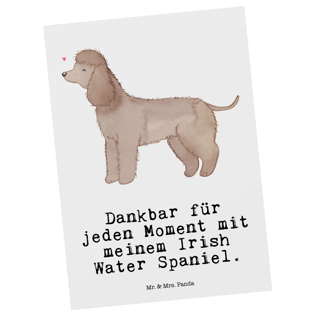 Postkarte Irish Water Spaniel Moment Postkarte, Karte, Geschenkkarte, Grußkarte, Einladung, Ansichtskarte, Geburtstagskarte, Einladungskarte, Dankeskarte, Ansichtskarten, Einladung Geburtstag, Einladungskarten Geburtstag, Hund, Hunderasse, Rassehund, Hundebesitzer, Geschenk, Tierfreund, Schenken, Welpe, Irish Water Spaniel, Jagdhund